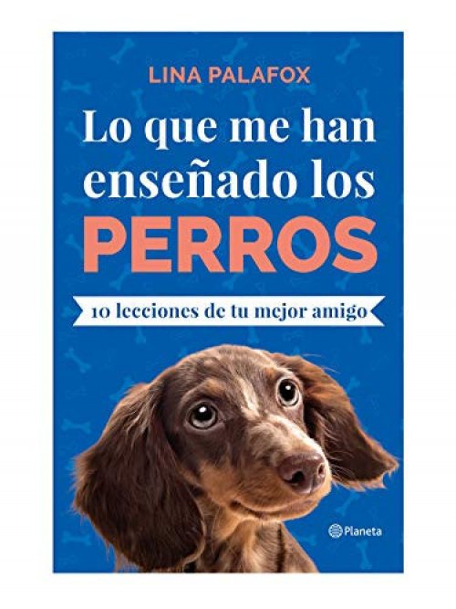 Lo que me han enseñado los perros 10 lecciones de tu mejor amigo