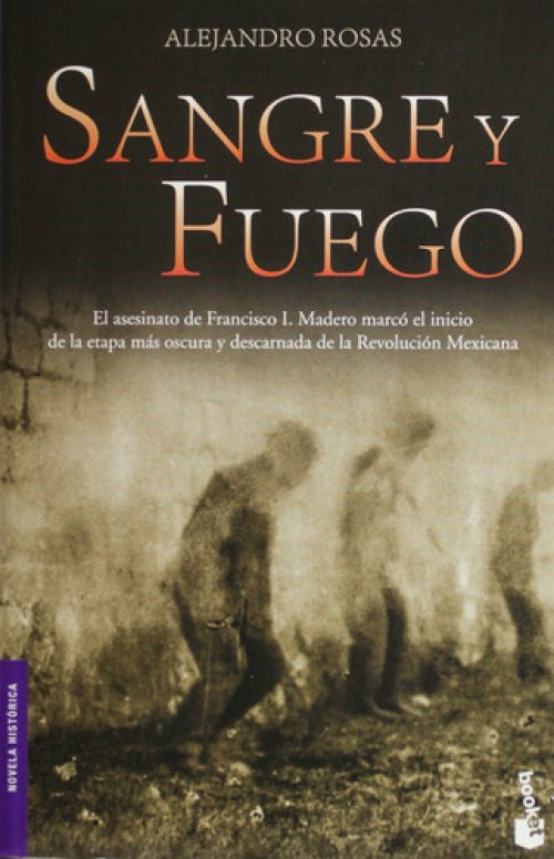 Sangre y fuego (Spanish Edition)