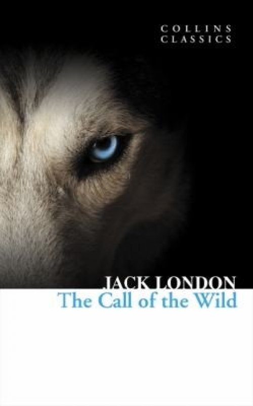The Call of the Wild                            Collins Classics