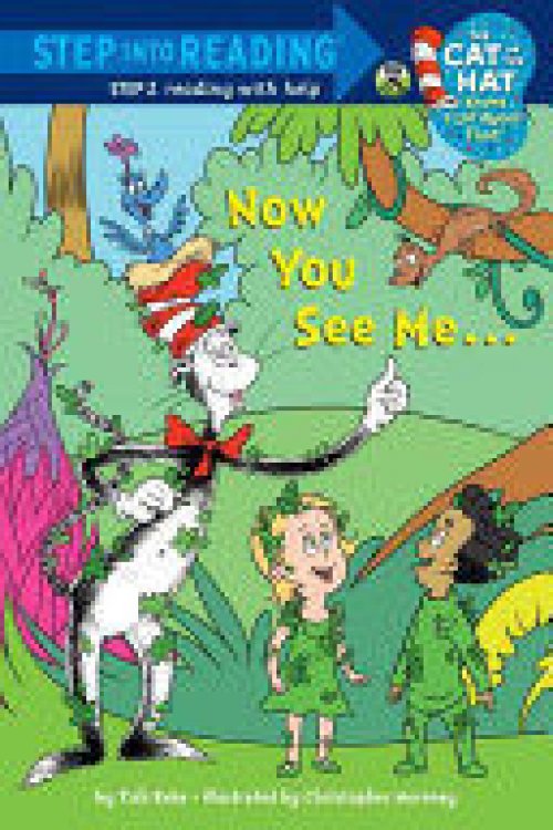 NOW YOU SEE ME...