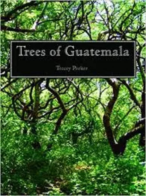 Trees Of Guatemala