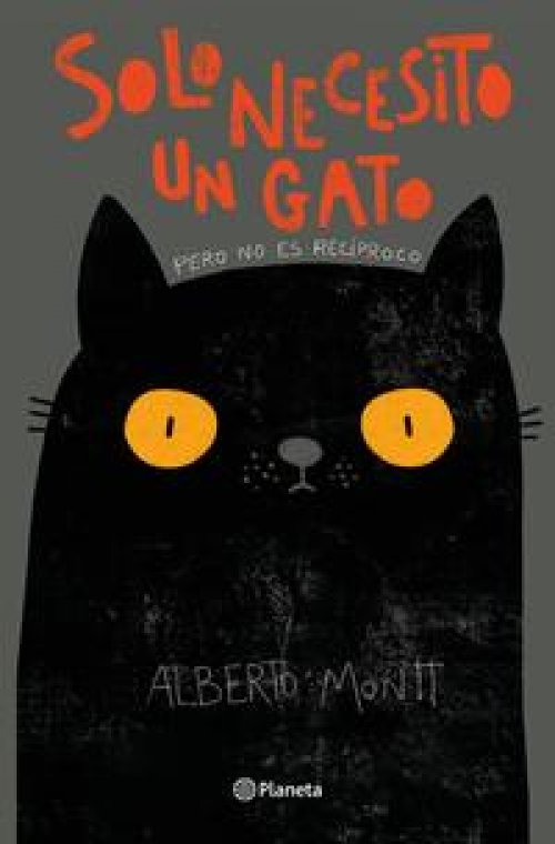 Solo necesito un gato