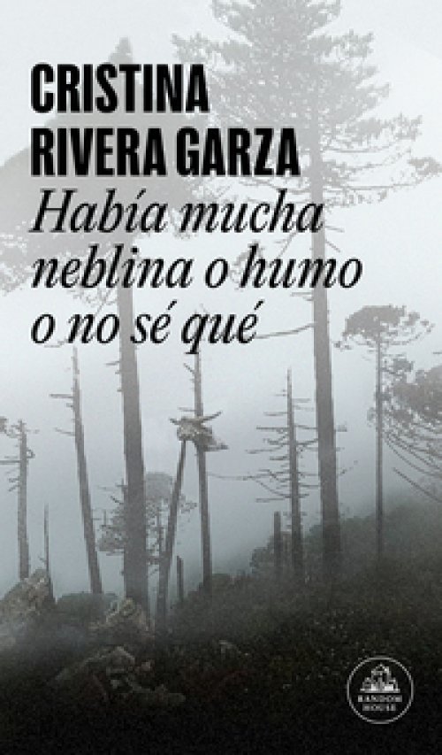 Había mucha neblina o humo o no sé qué