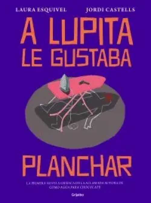 A Lupita le Gustaba Planchar (Novela Gráfica)