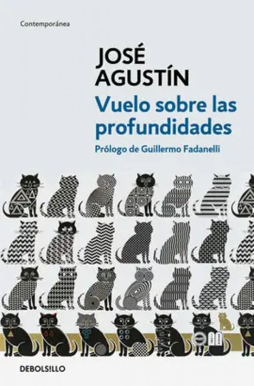 Vuelo Sobre las Profundidades