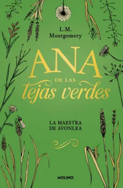 Ana de las Tejas Verdes 3