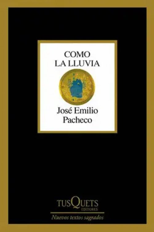 Como la Lluvia
