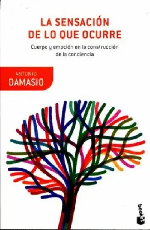 La sensación de lo que ocurre