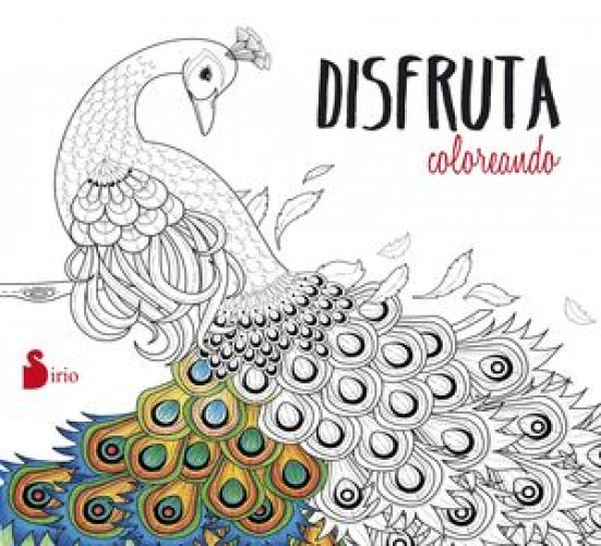 *DISFRUTA COLOREANDO