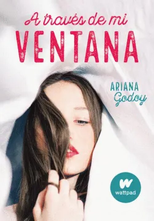 A Través de mi Ventana (Trilogía Hermanos Hidalgo 1)