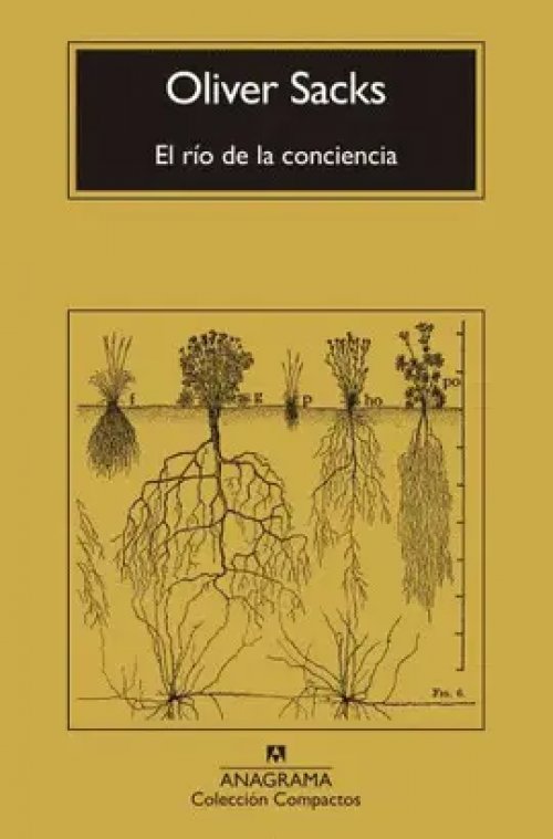 El Río de la Conciencia