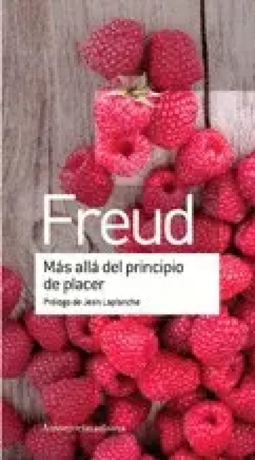 Más Allá del Principio de Placer