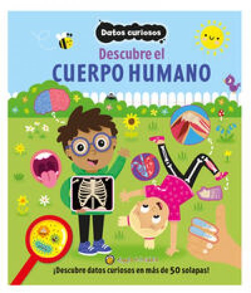 Descubre El Cuerpo Humano: Datos Curiosos
