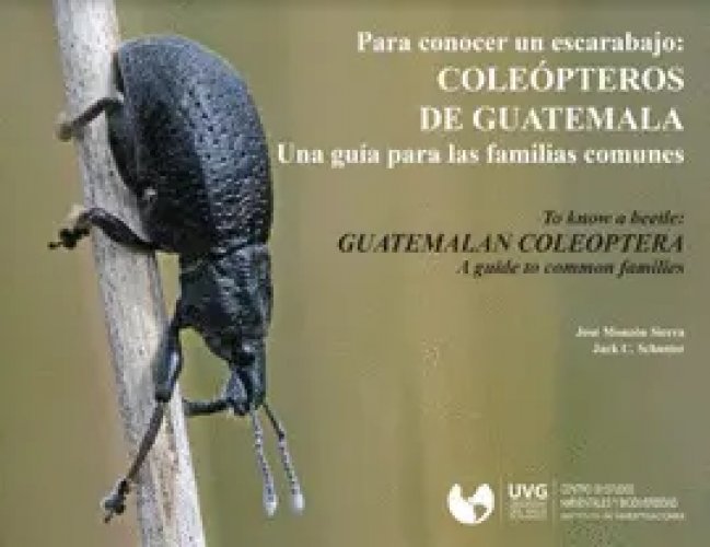 Coleópteros de Guatemala