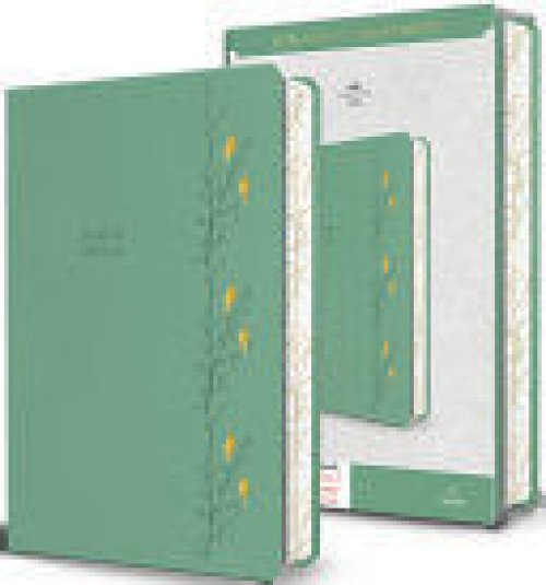 BIBLIA RVR 1960 LETRA GIGANTE SÍMIL PIEL VERDE CON PÁJAROS (EDICIÓN CANTOS PINTADOS) / SPANISH BIBLE RVR 1960 GIANT PRINT HANDY SIZE LEATHERSOFT GREEN