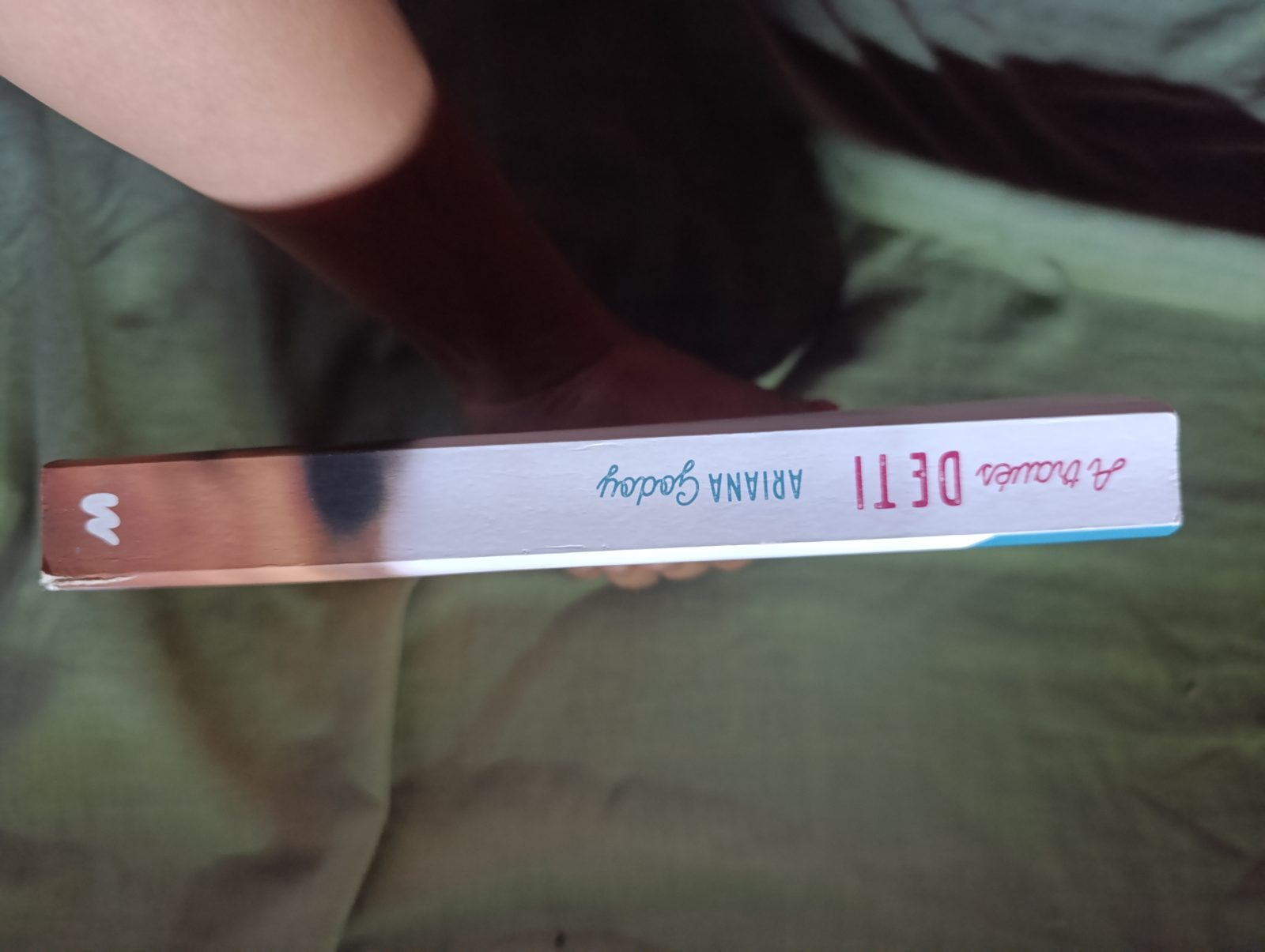 Lomo