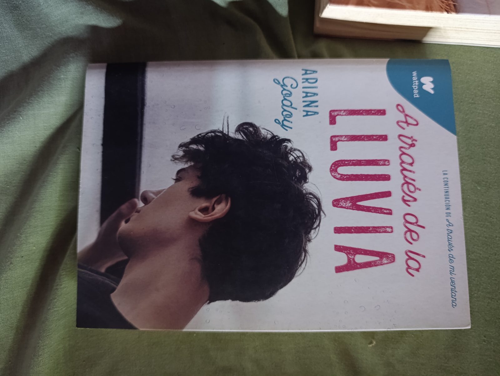 A Traves de la Lluvia