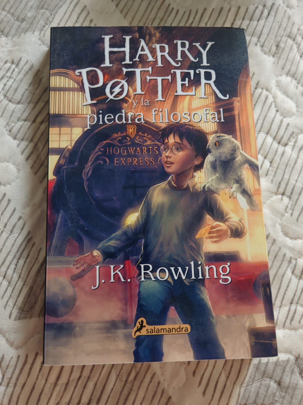 Harry Potter y la Piedra Filosofal (Harry Potter 1)
