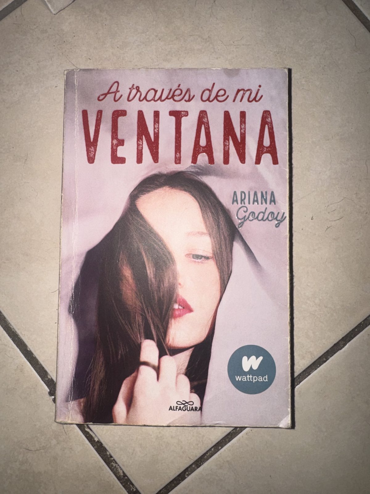 A través de mi ventana ( 1 )