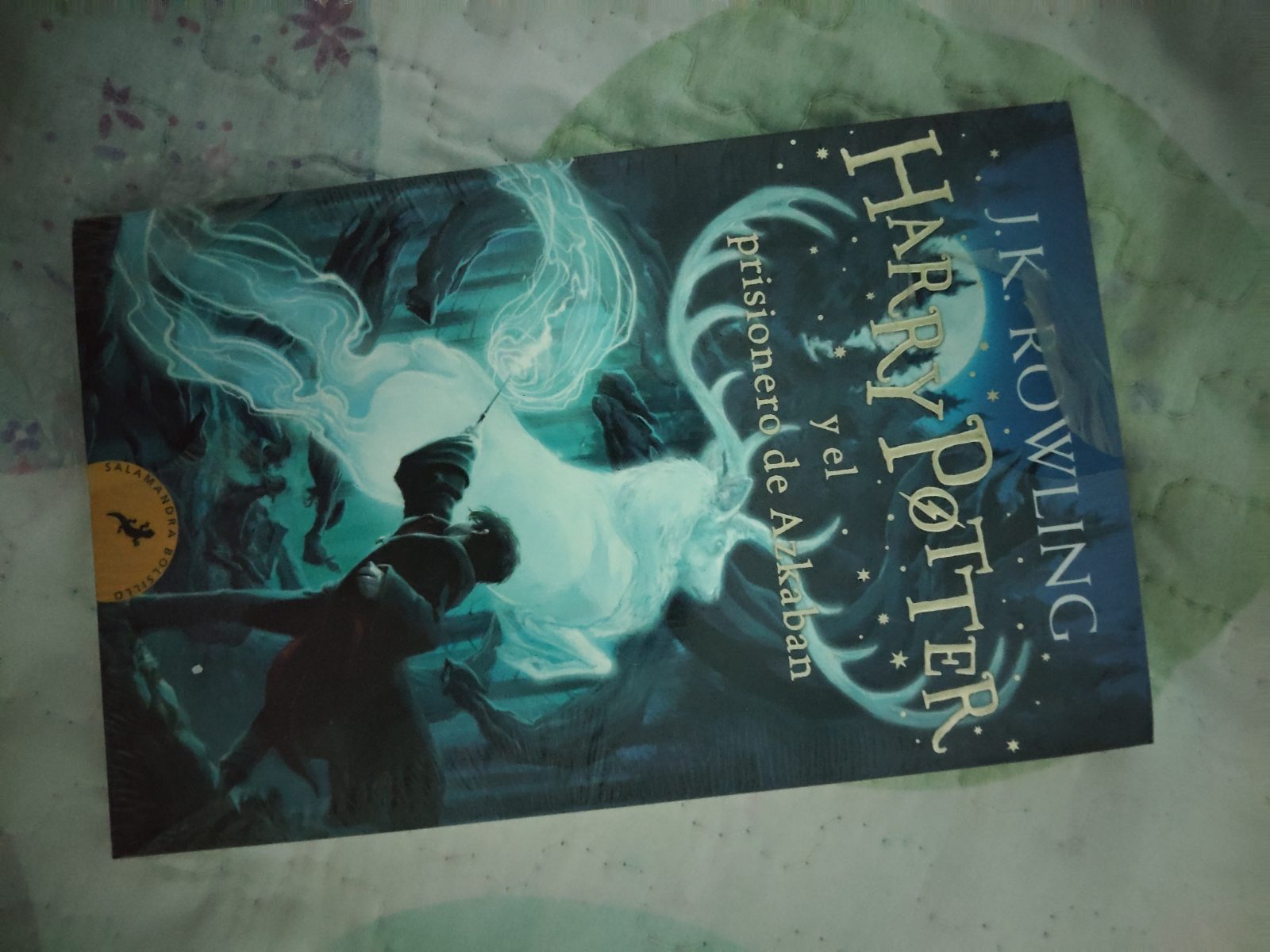 Harry Potter y el prisionero de Azkaban ( Harry Potter 3 )