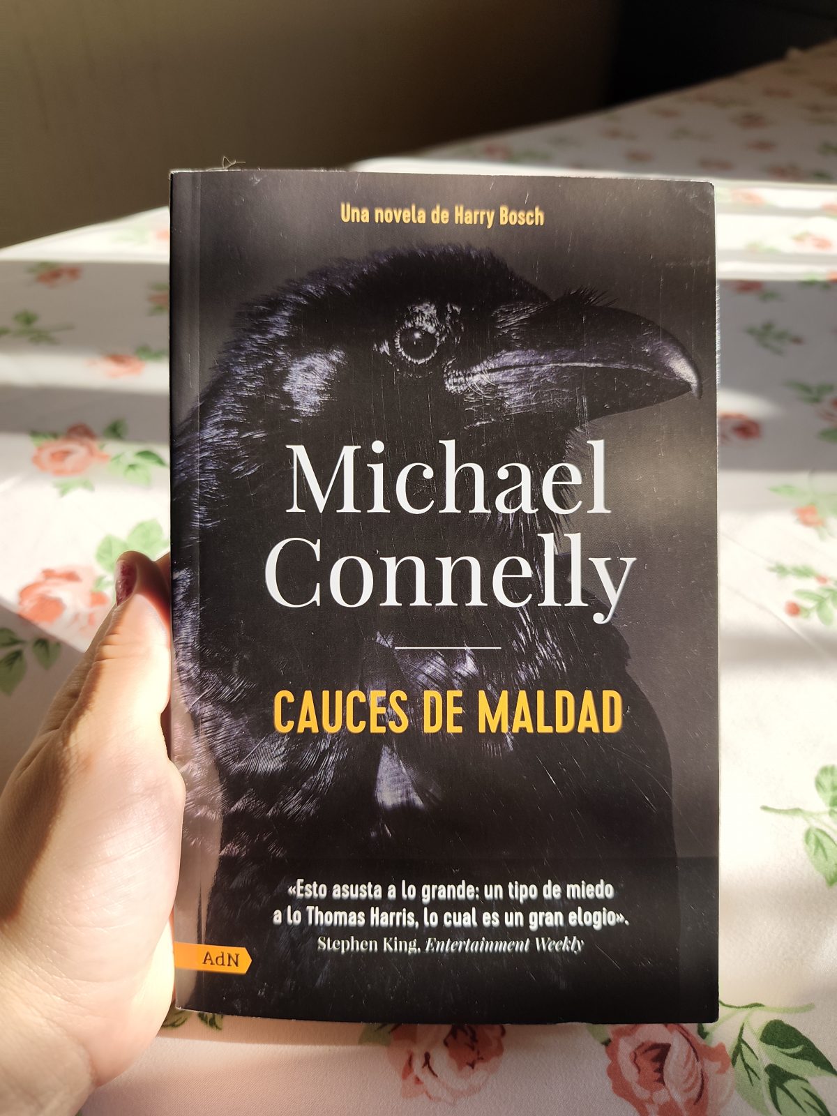 Causes de Maldad