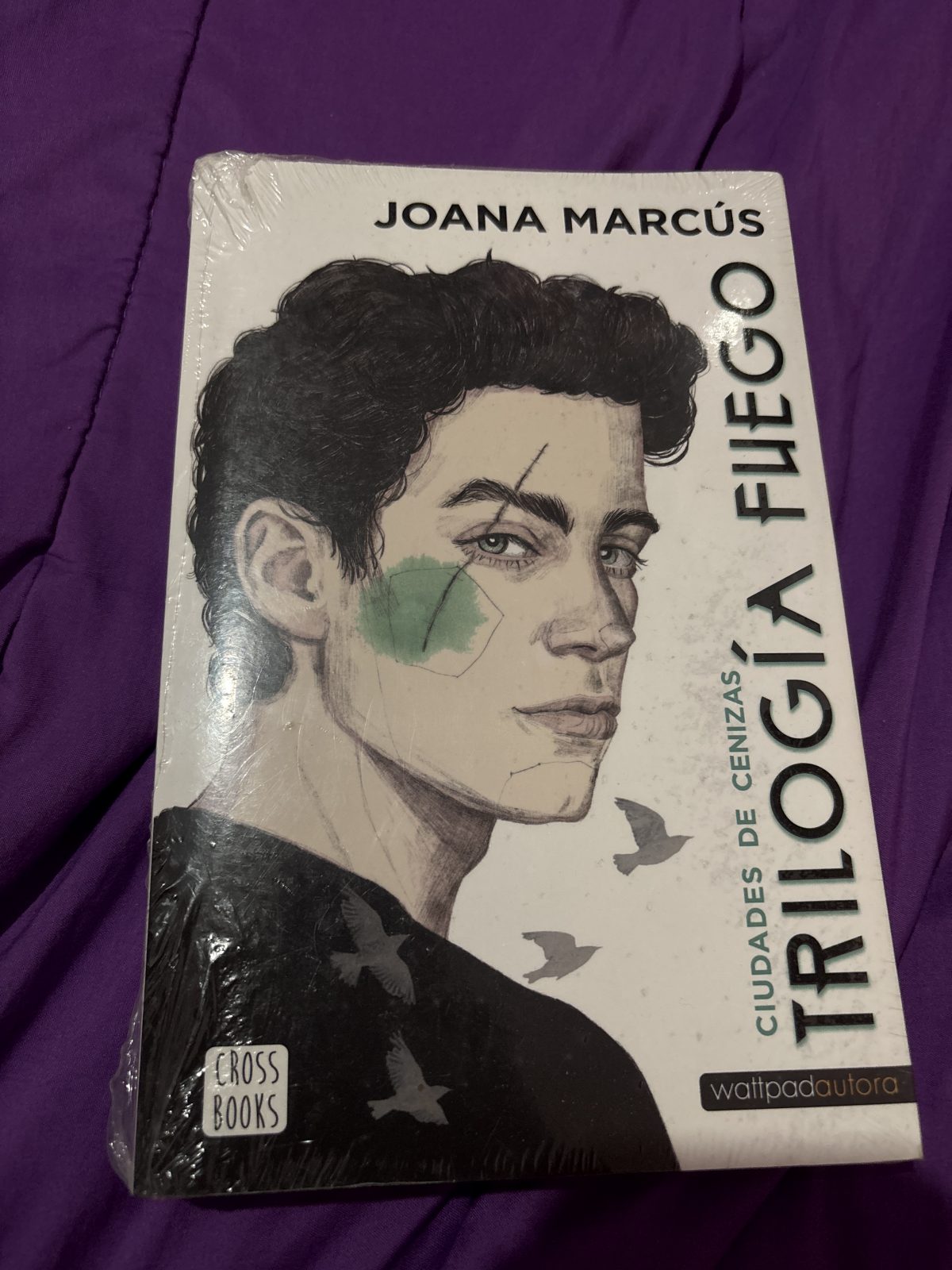 Trilogía Fuego 2. Ciudades de Cenizas